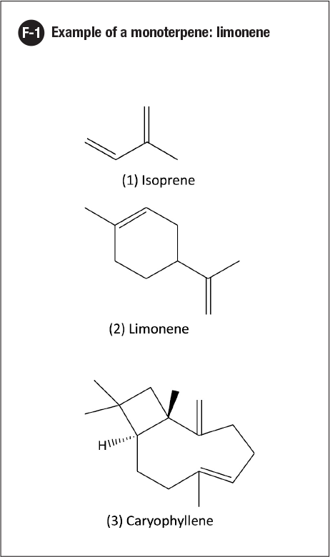 example of a monoterpene limonene